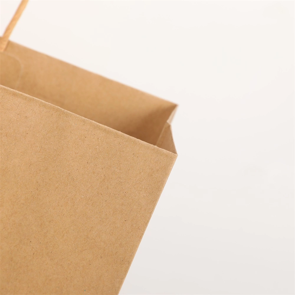 Recycled Brown Shopping Bag Plain Kraft Paper Takeaway Bag with Twisted Handle